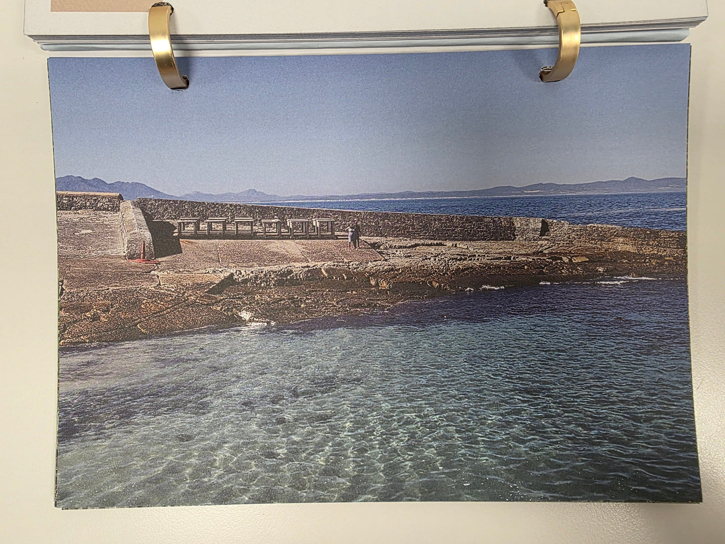 Calendar Desk Springbok Foods 2026