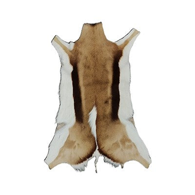 DK Springbok Hide