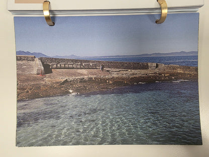 Calendar Desk Springbok Foods 2026