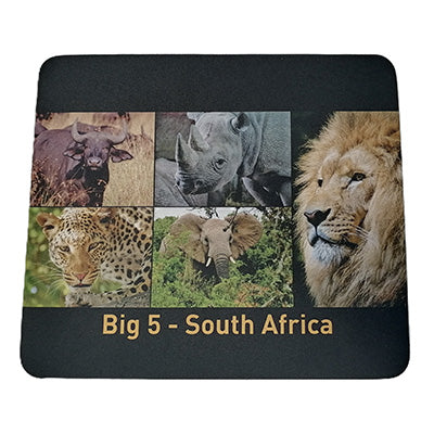 Glass Coaster Protea Print 4 pack with Free Mouse pad