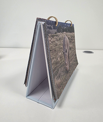 Calendar Desk Springbok Foods 2026